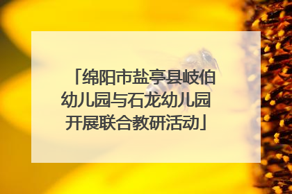 绵阳市盐亭县岐伯幼儿园与石龙幼儿园开展联合教研活动