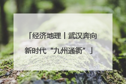 经济地理丨武汉奔向新时代“九州通衢”
