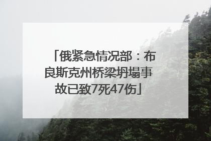 俄紧急情况部：布良斯克州桥梁坍塌事故已致7死47伤