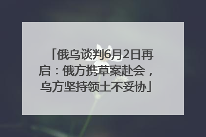 俄乌谈判6月2日再启：俄方携草案赴会，乌方坚持领土不妥协