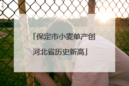 保定市小麦单产创河北省历史新高