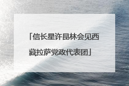 信长星许昆林会见西藏拉萨党政代表团
