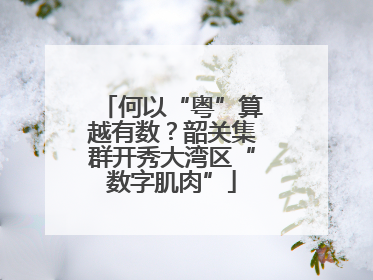 何以“粤”算越有数？韶关集群开秀大湾区“数字肌肉”