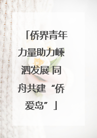 侨界青年力量助力嵊泗发展 同舟共建“侨爱岛”