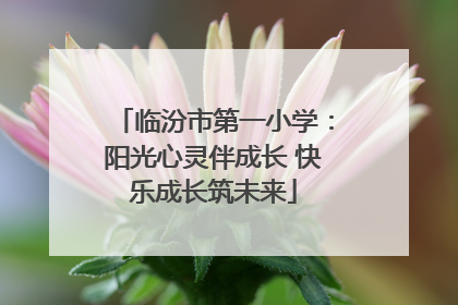 临汾市第一小学：阳光心灵伴成长 快乐成长筑未来