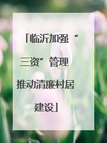 临沂加强“三资”管理 推动清廉村居建设