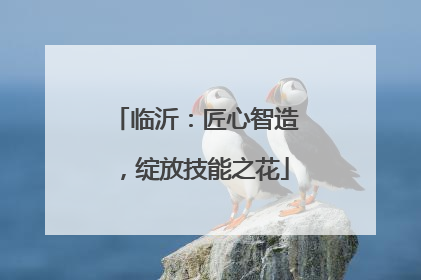 临沂：匠心智造，绽放技能之花