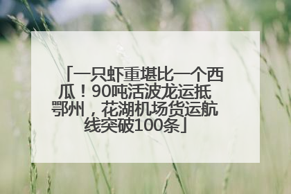 一只虾重堪比一个西瓜！90吨活波龙运抵鄂州，花湖机场货运航线突破100条
