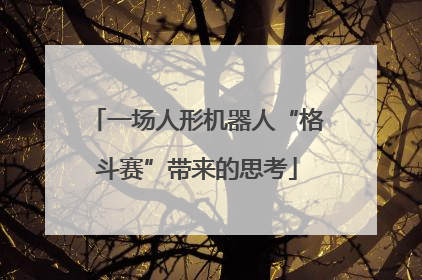 一场人形机器人“格斗赛”带来的思考
