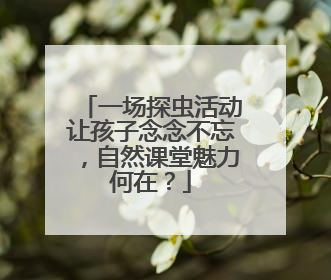 一场探虫活动让孩子念念不忘，自然课堂魅力何在？