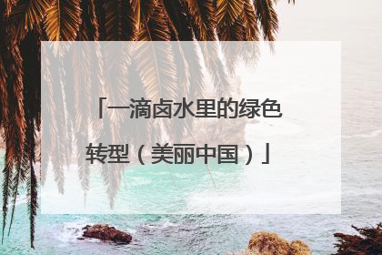 一滴卤水里的绿色转型（美丽中国）