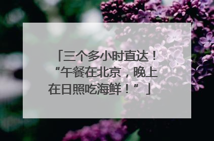 三个多小时直达！“午餐在北京，晚上在日照吃海鲜！”