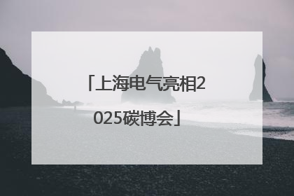 上海电气亮相2025碳博会