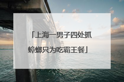 上海一男子四处抓蟑螂只为吃霸王餐