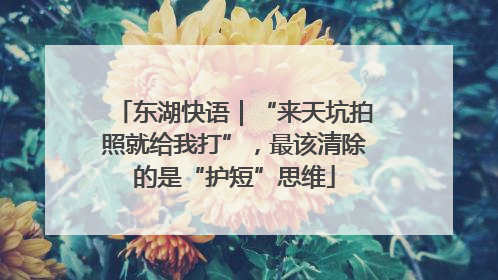 东湖快语｜“来天坑拍照就给我打”，最该清除的是“护短”思维