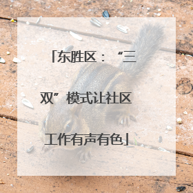 东胜区：“三双”模式让社区工作有声有色