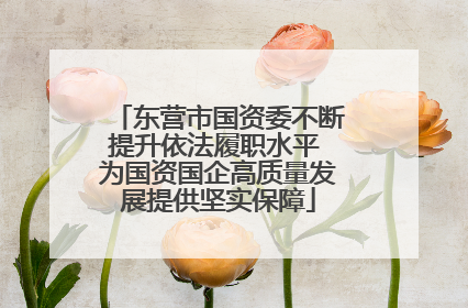 东营市国资委不断提升依法履职水平 为国资国企高质量发展提供坚实保障