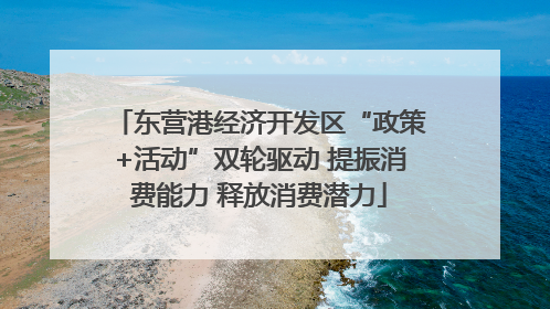 东营港经济开发区“政策+活动”双轮驱动 提振消费能力 释放消费潜力