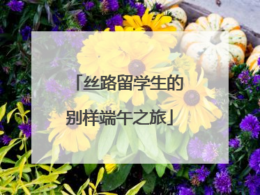 丝路留学生的别样端午之旅