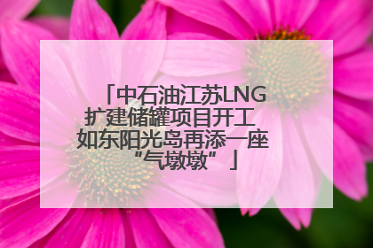 中石油江苏LNG扩建储罐项目开工 如东阳光岛再添一座“气墩墩”