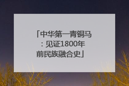中华第一青铜马：见证1800年前民族融合史