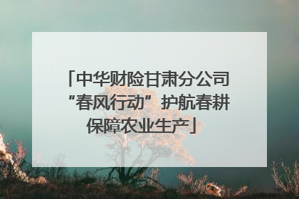 中华财险甘肃分公司“春风行动”护航春耕 保障农业生产