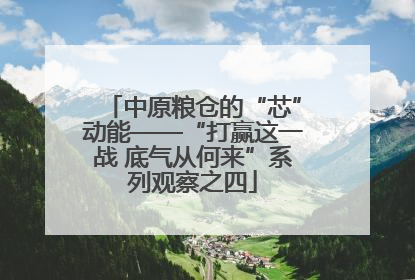 中原粮仓的“芯”动能——“打赢这一战 底气从何来”系列观察之四
