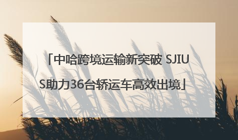 中哈跨境运输新突破 SJIUS助力36台轿运车高效出境