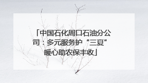 中国石化周口石油分公司：多元服务护“三夏” 暖心助农保丰收