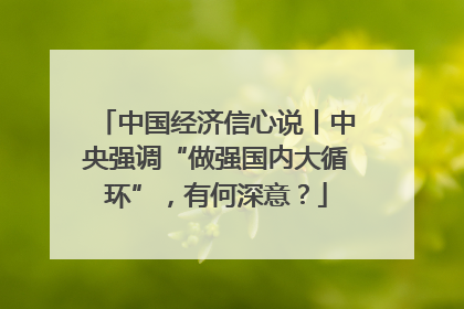 中国经济信心说丨中央强调“做强国内大循环”，有何深意？