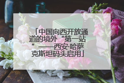 中国向西开放通道的境外“第一站”——西安·哈萨克斯坦码头启用