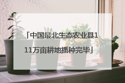 中国最北生态农业县111万亩耕地播种完毕