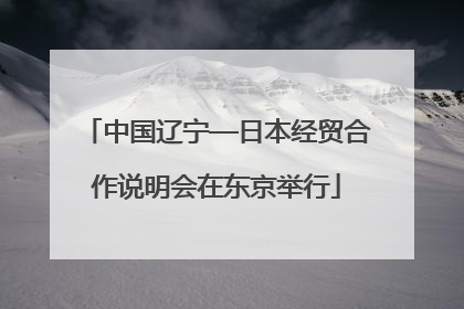 中国辽宁—日本经贸合作说明会在东京举行