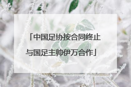 中国足协按合同终止与国足主帅伊万合作