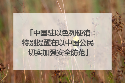 中国驻以色列使馆：特别提醒在以中国公民切实加强安全防范
