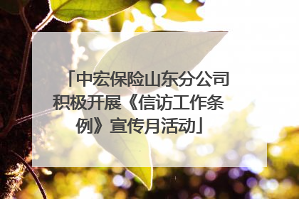 中宏保险山东分公司积极开展《信访工作条例》宣传月活动