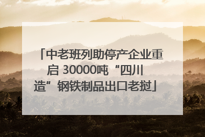 中老班列助停产企业重启 30000吨“四川造”钢铁制品出口老挝