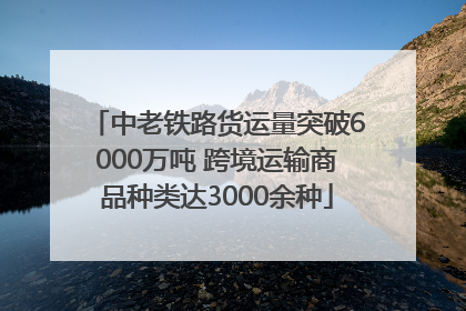 中老铁路货运量突破6000万吨 跨境运输商品种类达3000余种
