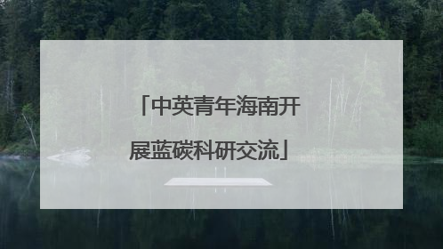 中英青年海南开展蓝碳科研交流