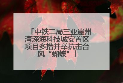 中铁二局三亚崖州湾深海科技城安置区项目多措并举抗击台风“蝴蝶”