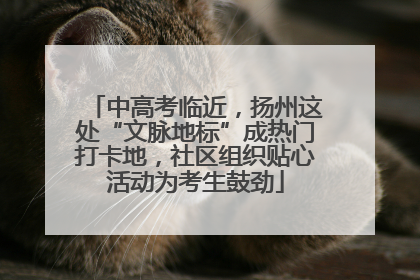 中高考临近，扬州这处“文脉地标”成热门打卡地，社区组织贴心活动为考生鼓劲