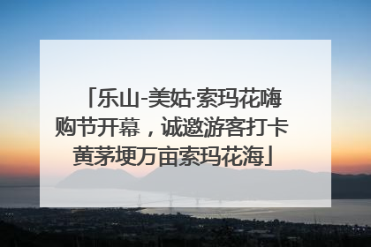 乐山-美姑·索玛花嗨购节开幕，诚邀游客打卡黄茅埂万亩索玛花海