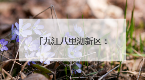 九江八里湖新区：精准“吹哨”聚民意 真查实改解民忧