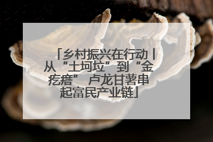 乡村振兴在行动丨从“土坷垃”到“金疙瘩” 卢龙甘薯串起富民产业链