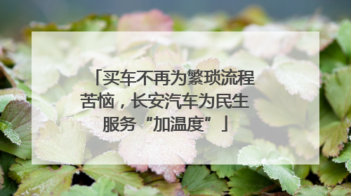 买车不再为繁琐流程苦恼，长安汽车为民生服务“加温度”
