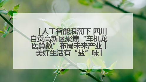 人工智能浪潮下 四川自贡高新区聚焦“车机龙医算数”布局未来产业丨美好生活有“盐”味