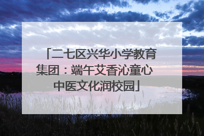 二七区兴华小学教育集团：端午艾香沁童心 中医文化润校园