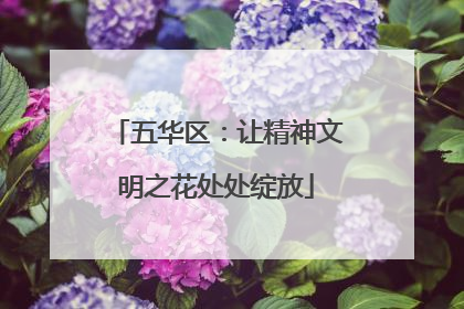 五华区：让精神文明之花处处绽放