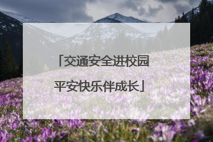 交通安全进校园 平安快乐伴成长