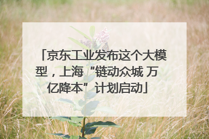 京东工业发布这个大模型，上海“链动众城 万亿降本”计划启动